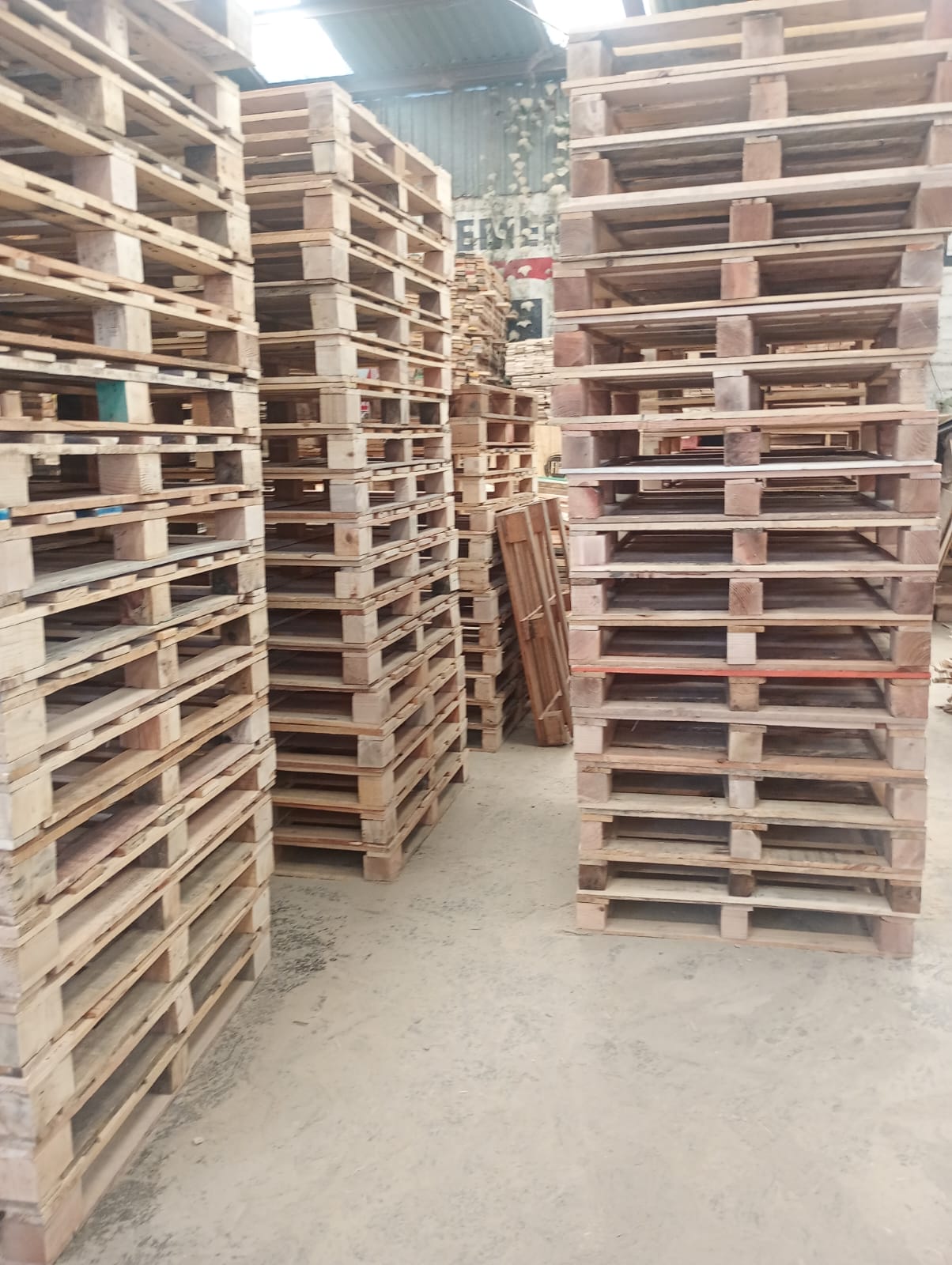 Tarimas mexico, fabricacion de tarimas a medida, tarimas en toluca y metepec (11)